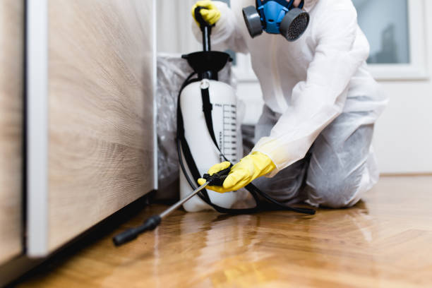 Best Best Pest Control Companies  in Jasper, TN