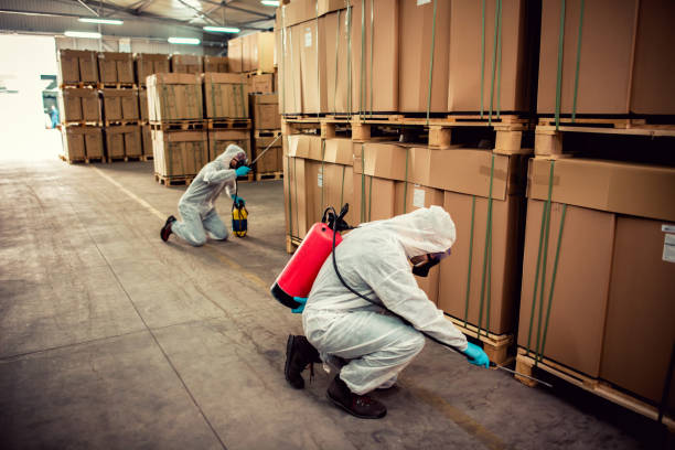 Best Pest Prevention Services  in Jasper, TN