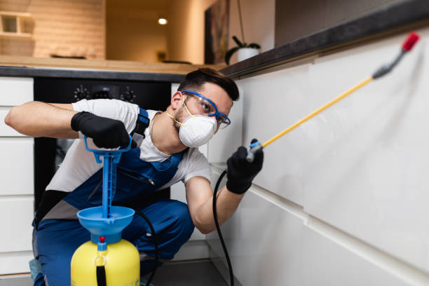 Best Residential Pest Control  in Jasper, TN