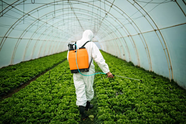 Best Pest Removal Services  in Jasper, TN