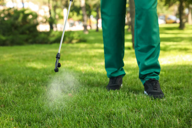 Best Affordable Pest Control Services  in Jasper, TN