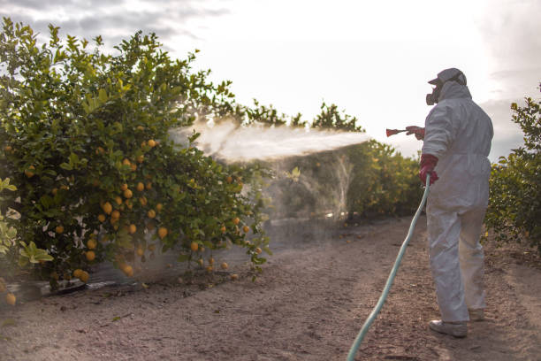 Professional Pest Control in Jasper, TN