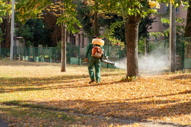 Best Mosquito Control Services  in Jasper, TN