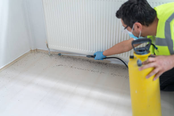 Best Commercial Pest Control Services  in Jasper, TN